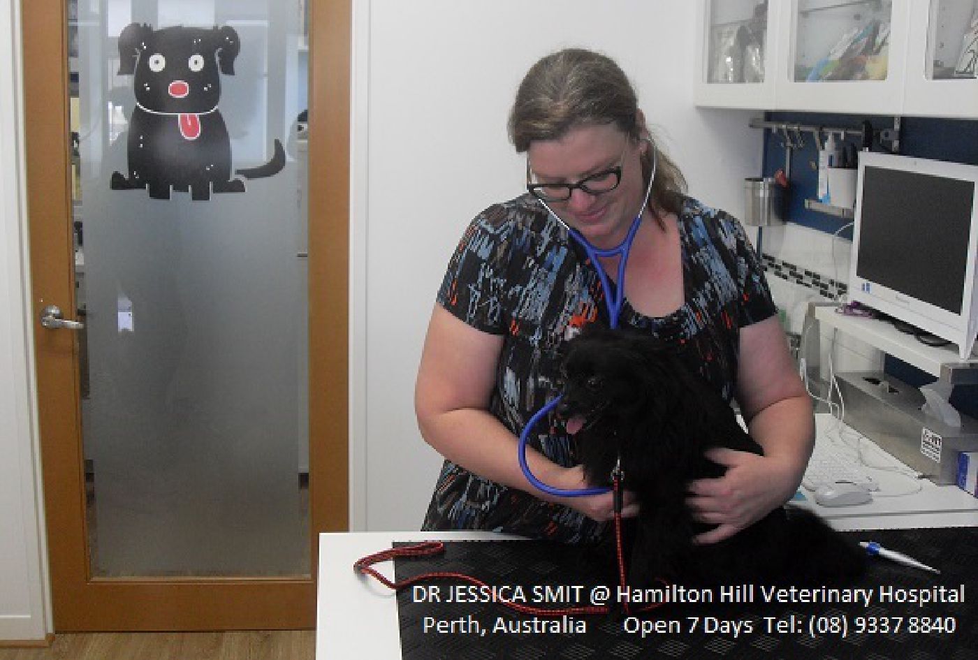 Dr Jessica Smit Hamilton Hill Veterinary Hospital